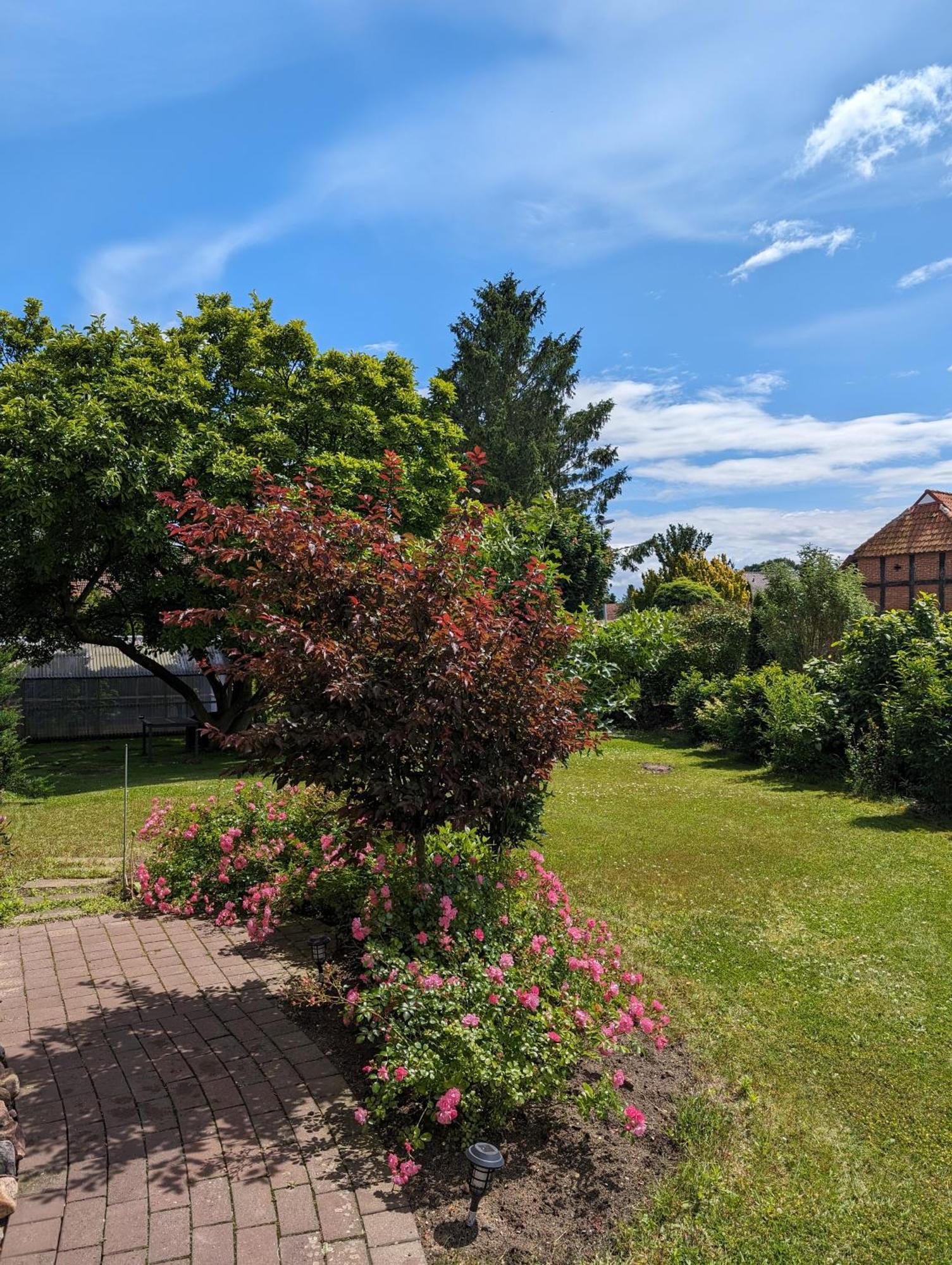 Ferienwohnung Bullersberg Balge ภายนอก รูปภาพ