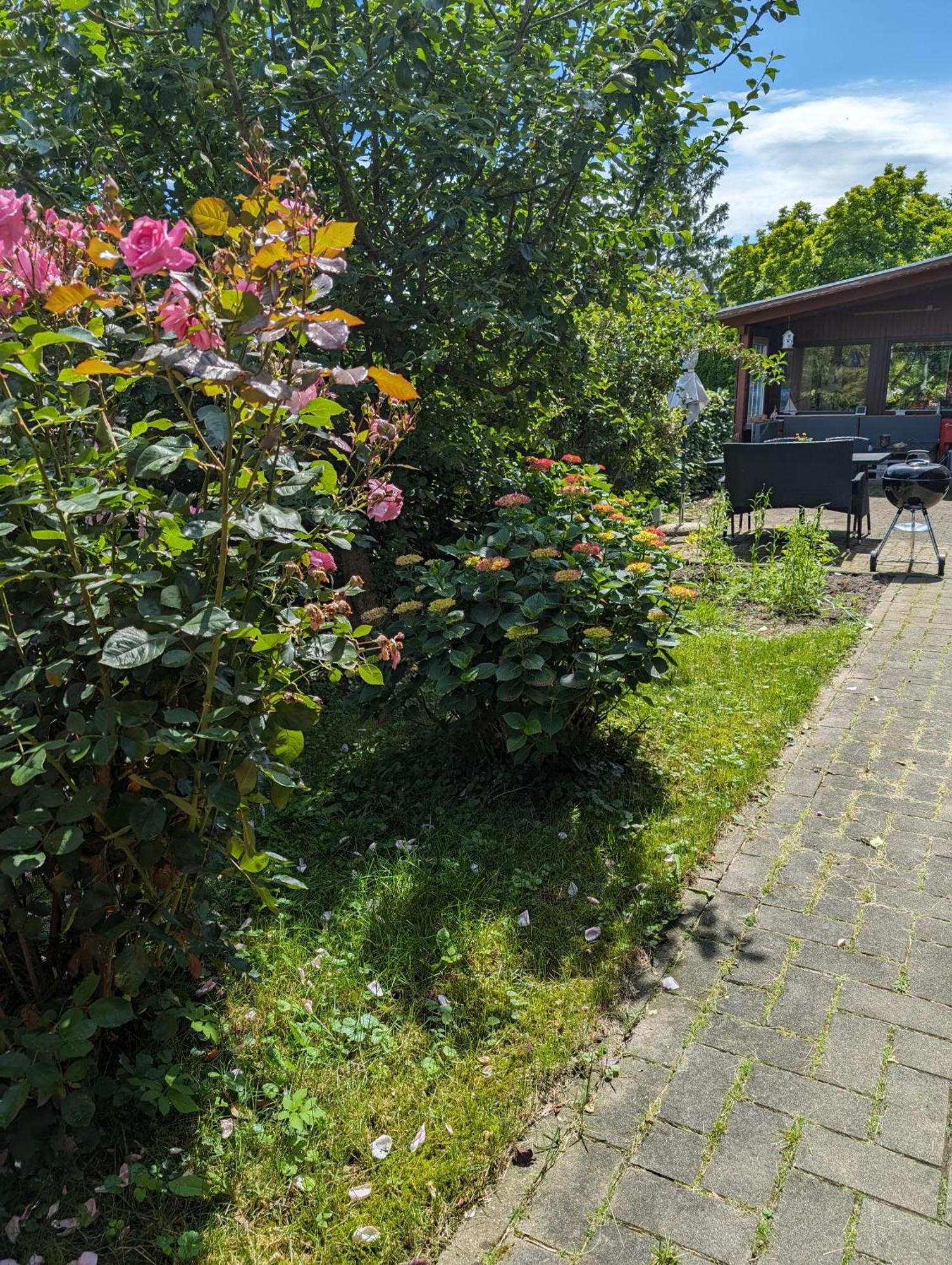 Ferienwohnung Bullersberg Balge ภายนอก รูปภาพ